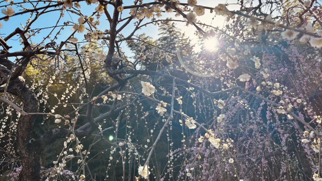 名古屋市農業センターdelaふぁーむ