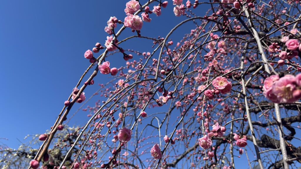 名古屋市農業センターdelaふぁーむ