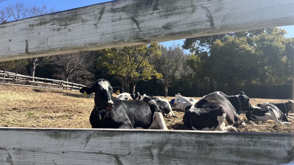 名古屋市農業センターdelaふぁーむ